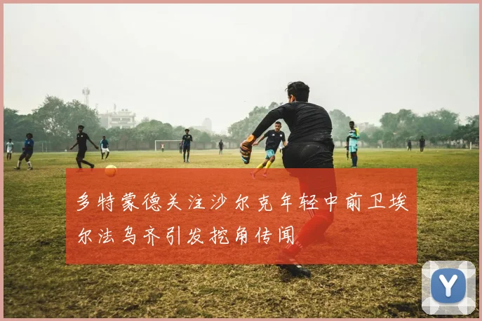 多特蒙德关注沙尔克年轻中前卫埃尔法乌齐引发挖角传闻